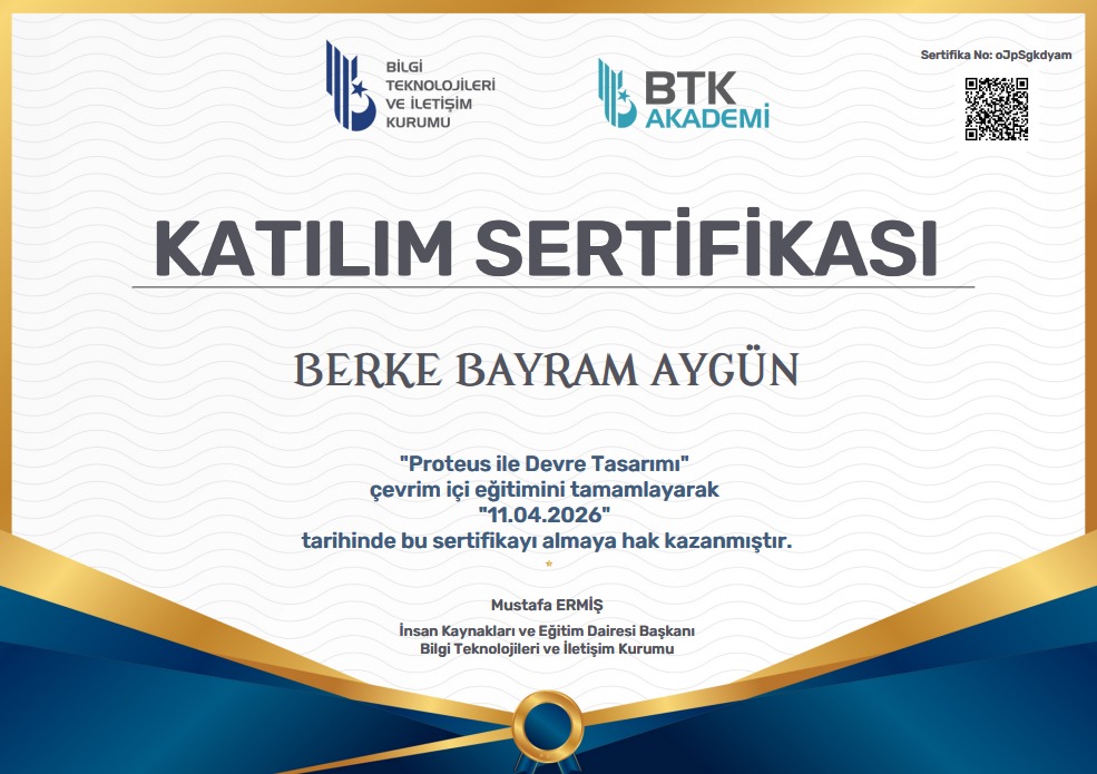 BTK Akademi Proteus sertifikası